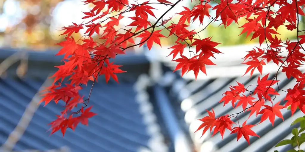 How Long Will Your Roof Last? It Depends on Where You Live.