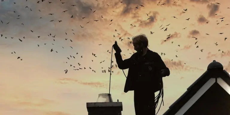 A person on a rooftop next to a chimney at sunset with birds flying overhead.