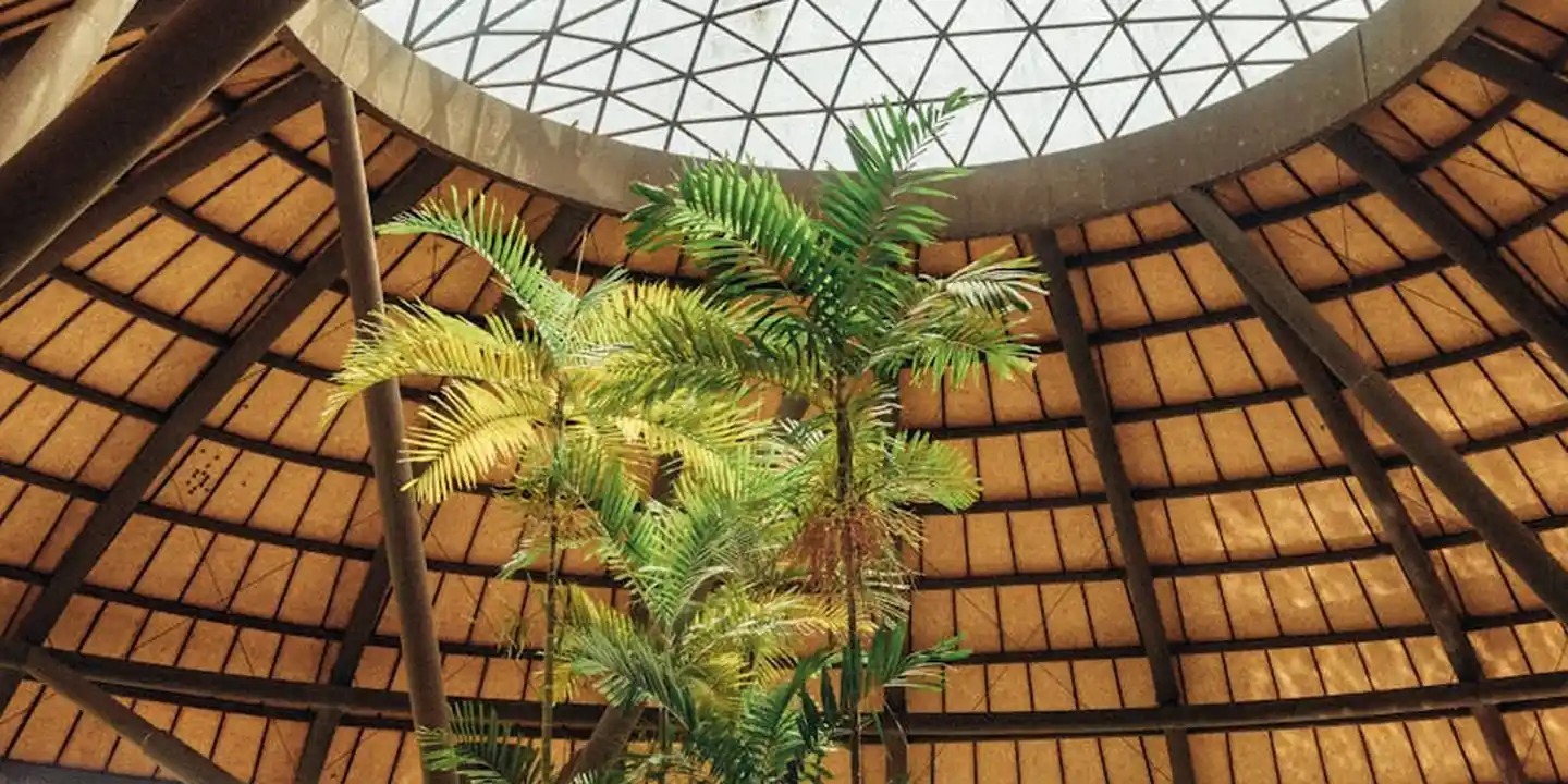 Interior of a circular wooden skylight dome with a glass ceiling, allowing natural light into a conservatory, with green palm plants nearby.