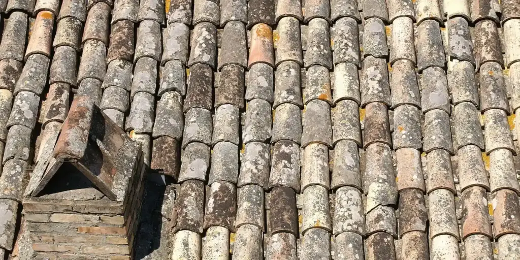 Which Roof Is Right for You? Comparing Material Pros and Cons
