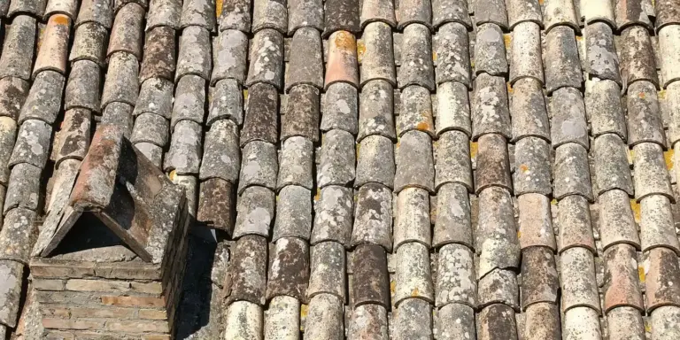 Close-up of weathered clay roof tiles arranged in rows, showing a traditional tile roof.