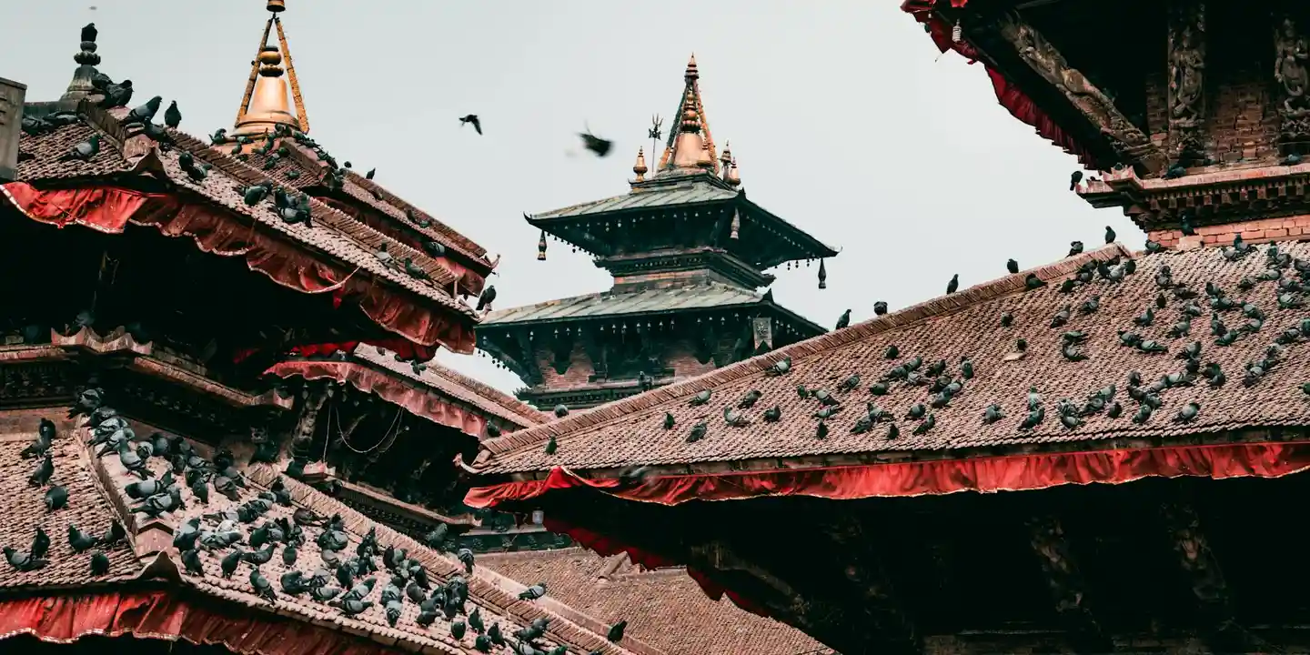 Traditional multi-tiered temple rooftops with ornate tiles and birds flying above