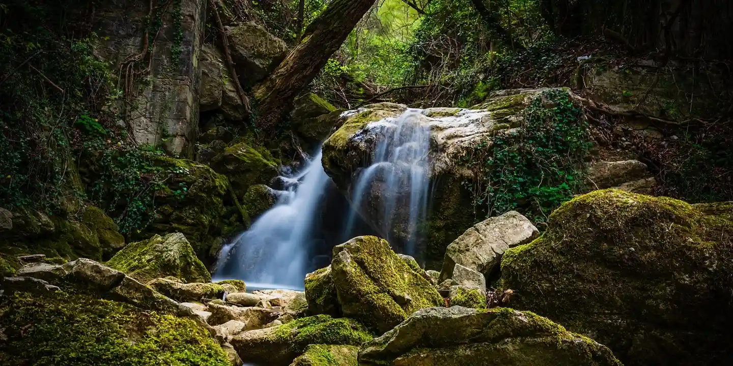 Moss-covered rocks around a small forest waterfall, illustrating moss growth on natural surfaces.