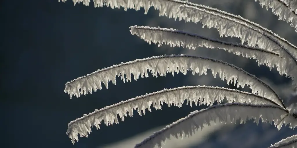 How Do I Prevent and Remove Ice Dams and Icicles from My Roof?