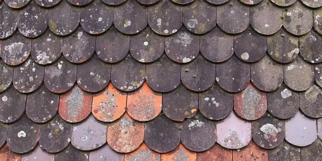 How to Reshingle or Reroof a Garage Roof: A Veteran’s Best Methods