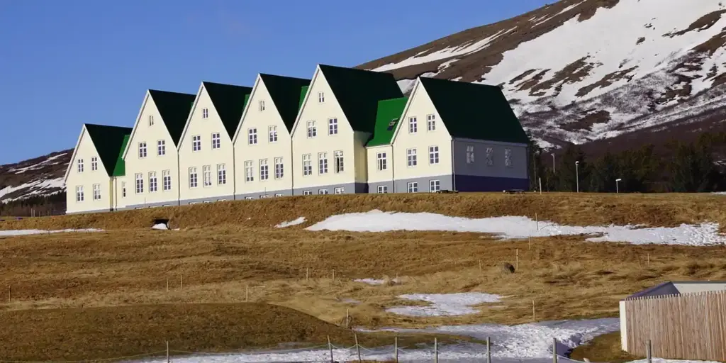 Green Roof vs. Traditional Roof: How to Choose Based on Pros, Cons, and Costs