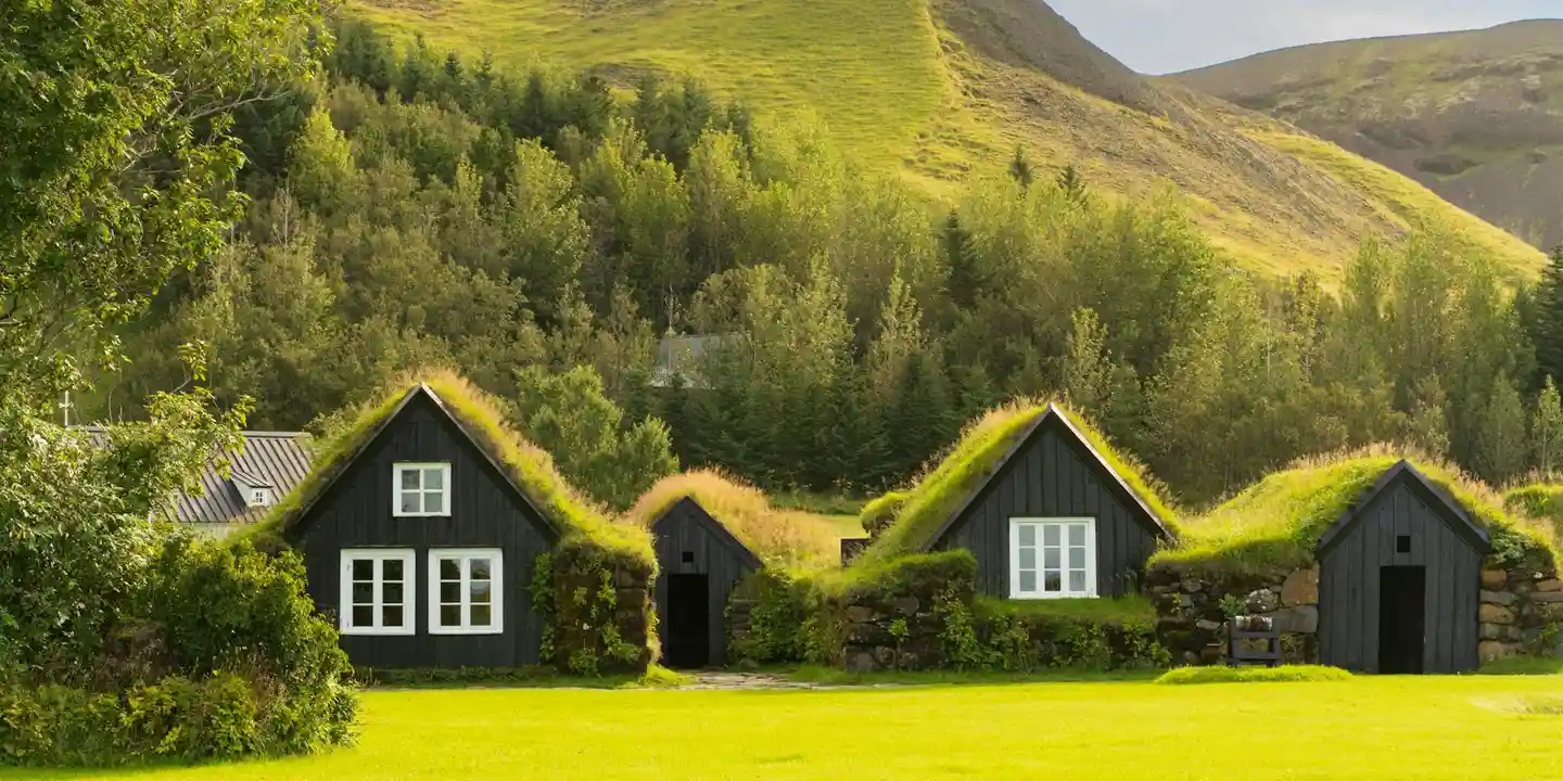 Small row of black wooden houses with grass-covered roofs set against a hillside and trees