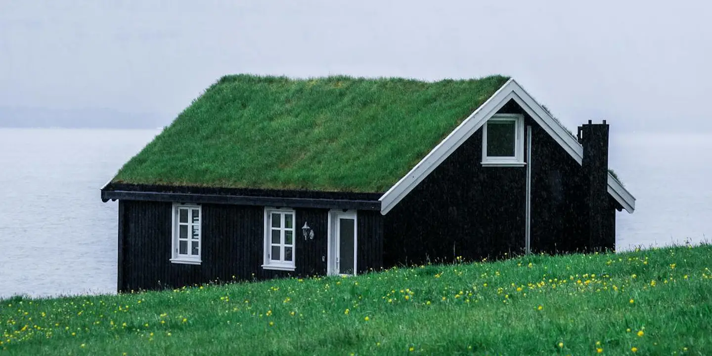 Lakeside black house with a bright green, grass-covered roof