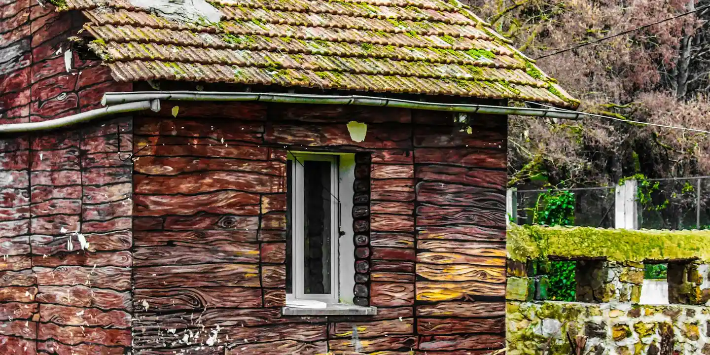 Rustic roofline with moss-covered shingles and a gutter along the edge, illustrating potential leak points at roof-to-wall junctions.