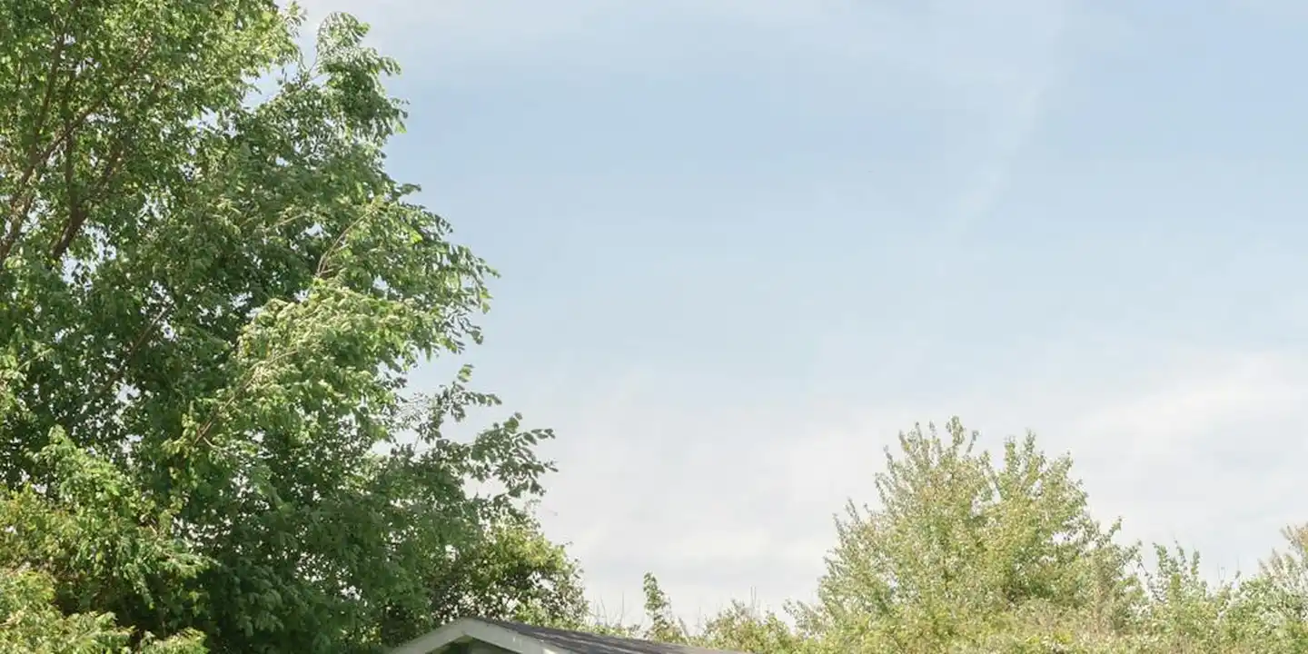 Tree-lined scene with a metal roof edge visible on a shed against a clear blue sky.