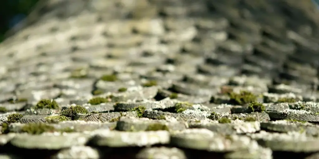How Do You Safely Clean Moss Off Your Roof Without Damaging Shingles?