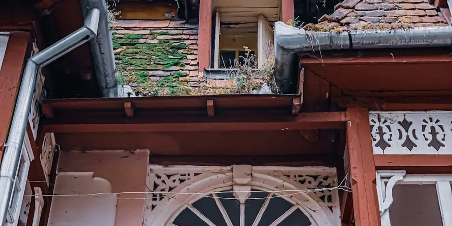 Moss-covered asphalt roof shingles on an older building, with visible wear along the edge and gutter.