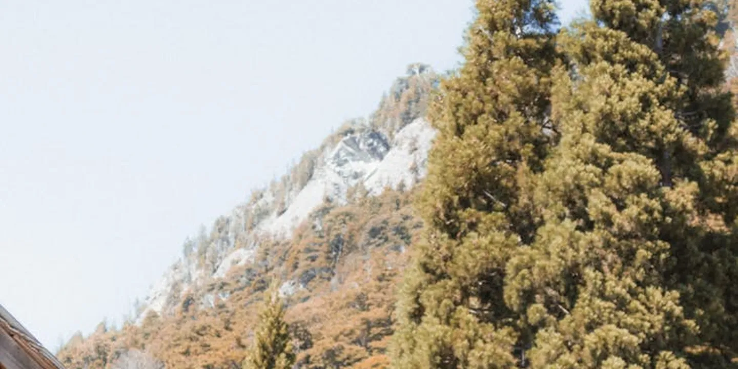 Scenic mountain landscape with evergreen trees and rocky peaks