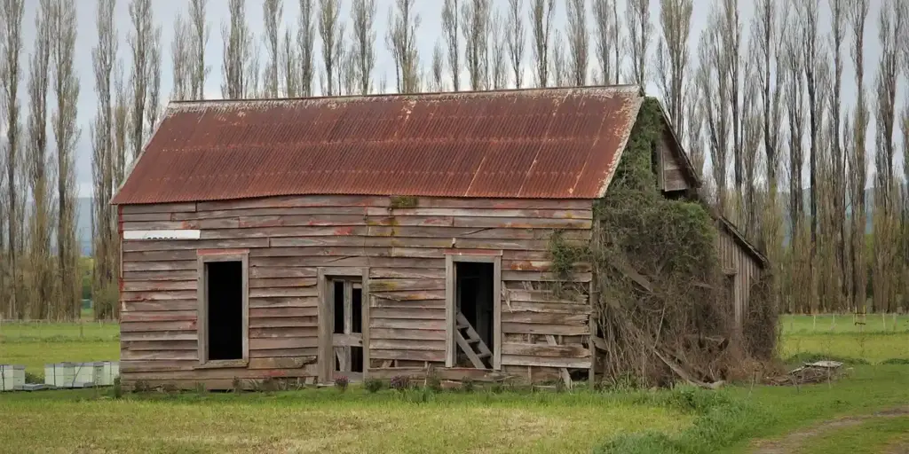 How to Build or Replace a Shed Roof: Best Techniques for Homeowners