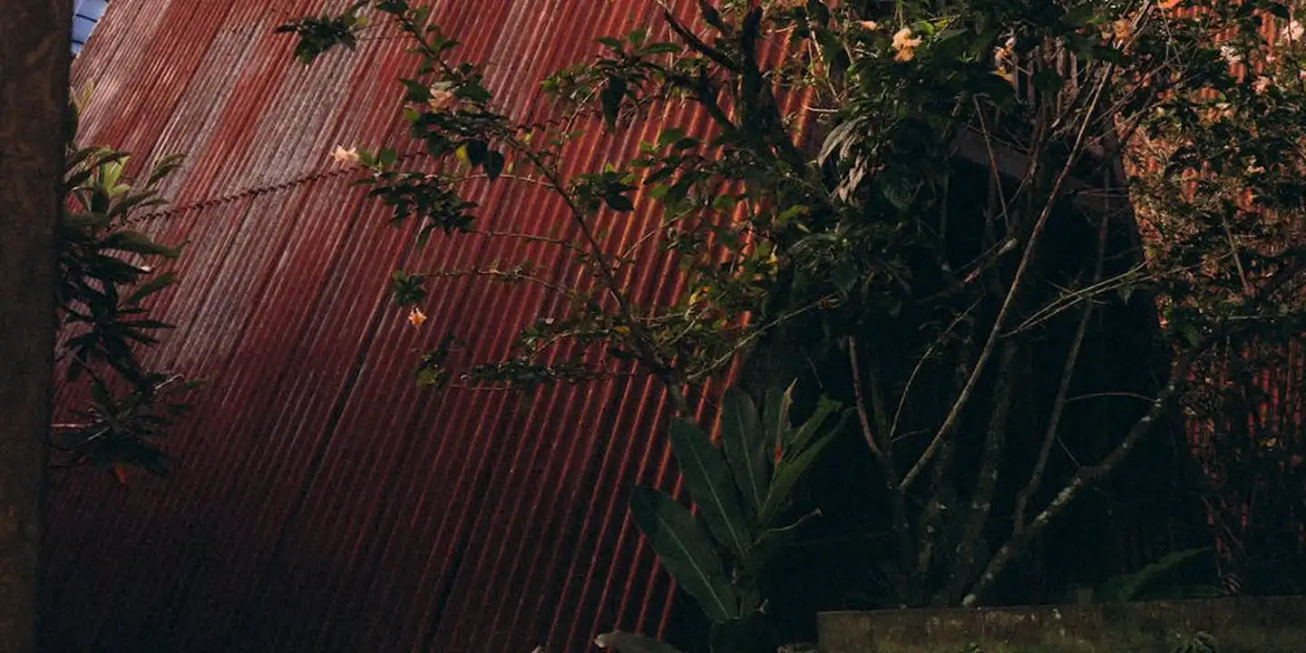 Close-up of a red corrugated metal roof with green plants and vines in front