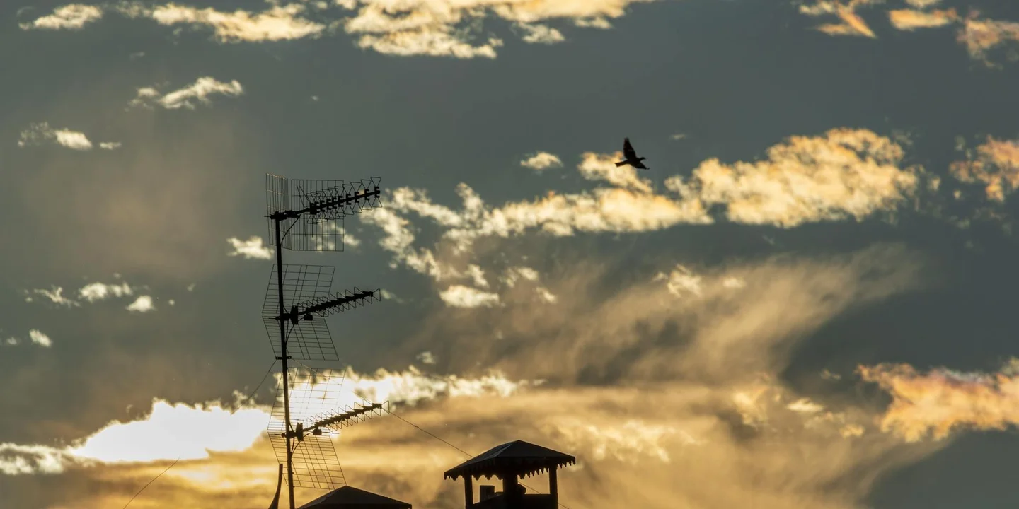 Roof with TV antennas against a cloudy sunset sky, with a bird flying overhead.