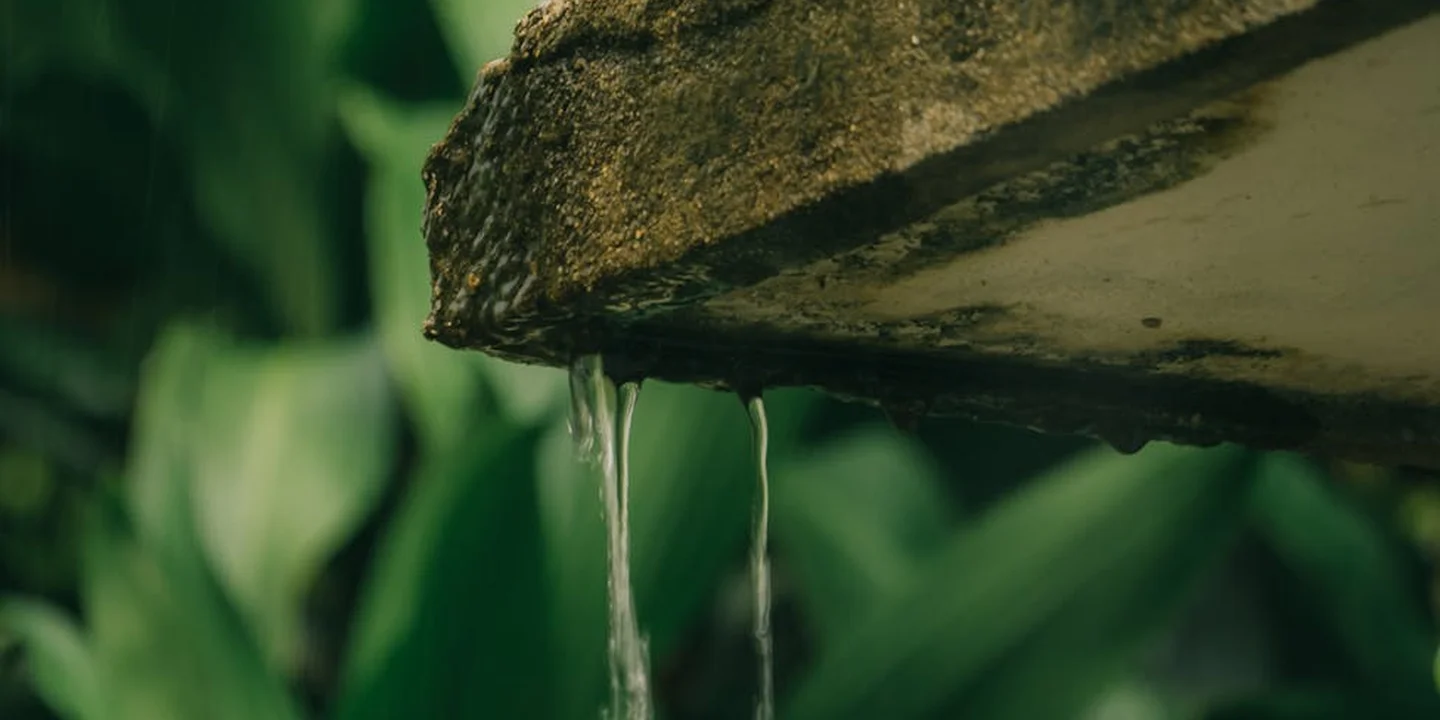 Close-up of a damp roof edge with water droplets hanging from the edge, against a blurred green background.