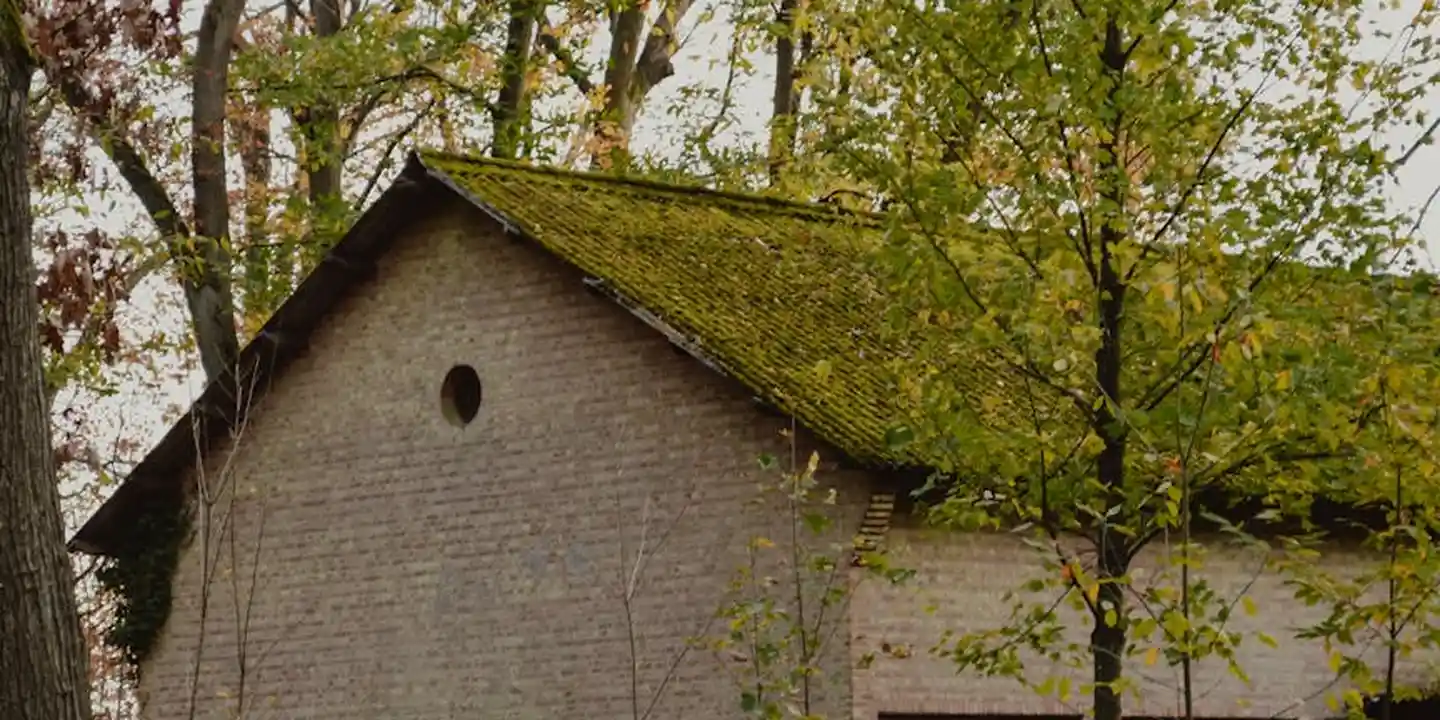 Residential house with a moss-covered roof and surrounding trees
