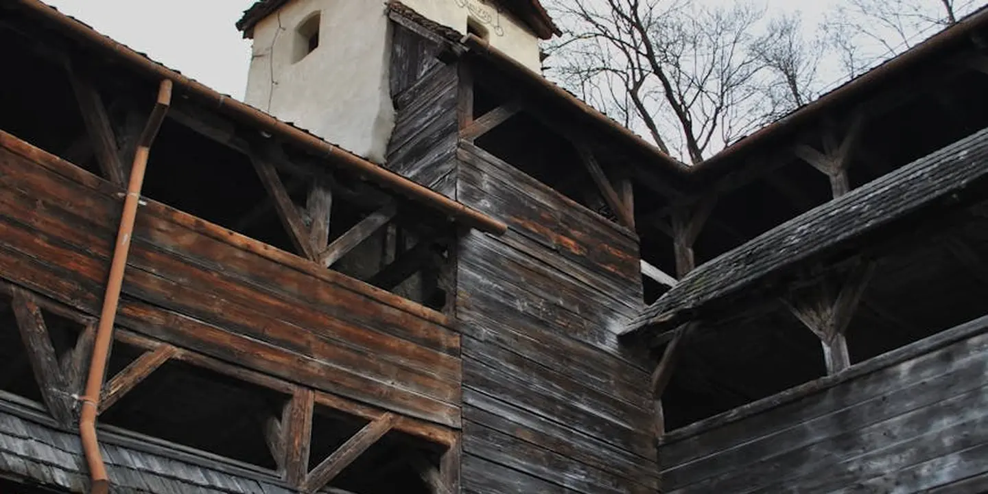 Exterior view of a weathered wooden roof with exposed beams and dark planks, illustrating potential nesting areas where roof rats may have lived.