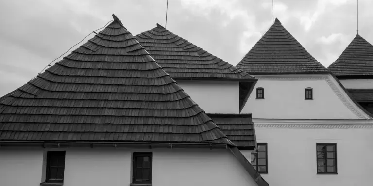 Black-and-white photo of a building with multiple steep, shingled roofs and distinctive conical peaks.