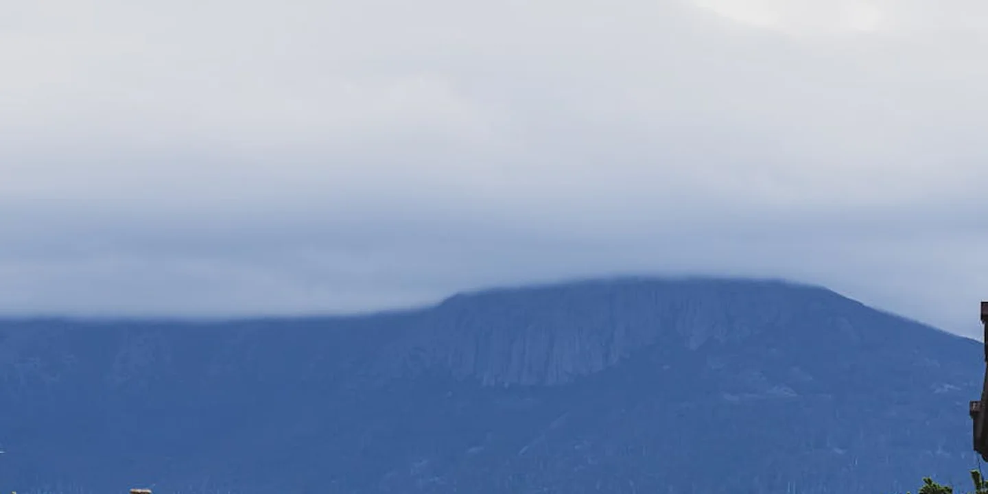 Distant blue mountain ridge under a pale, cloudy sky.