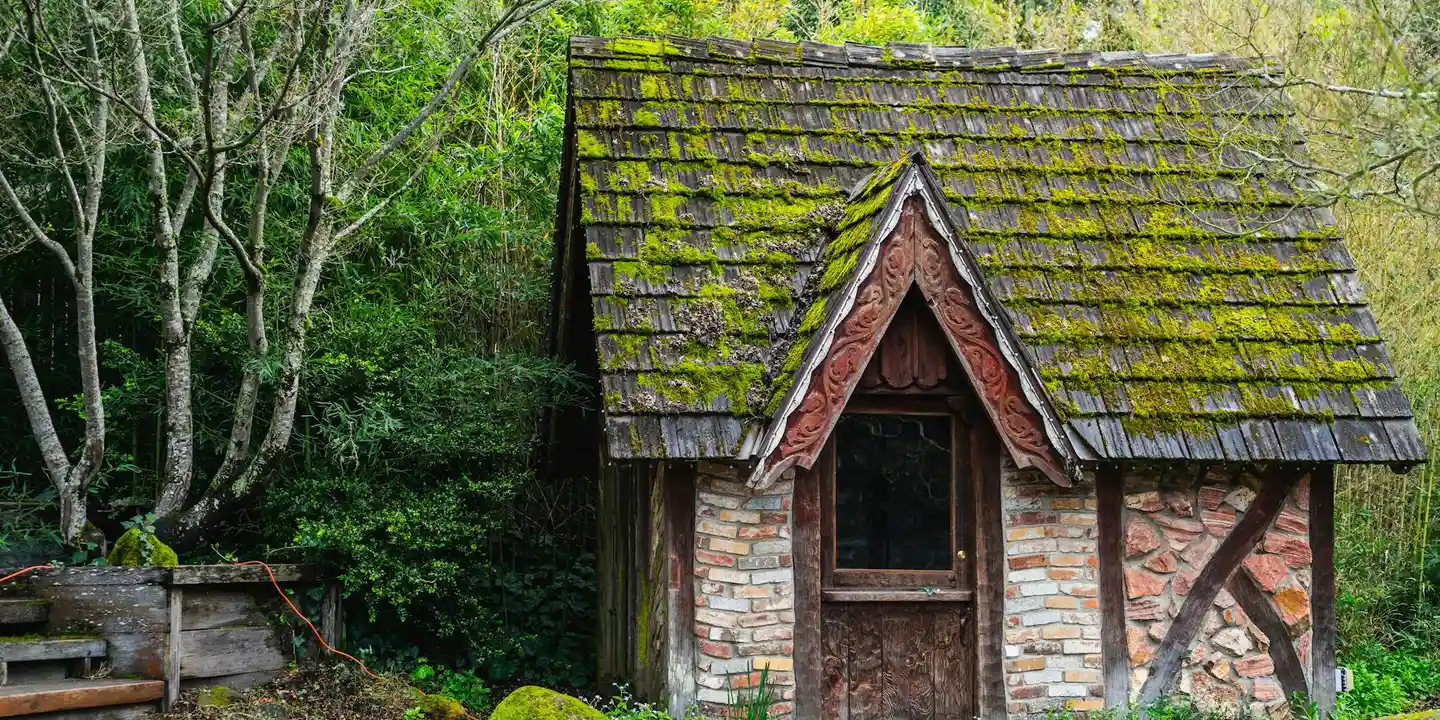 Moss-covered roof on a small brick-and-timber cottage surrounded by trees.