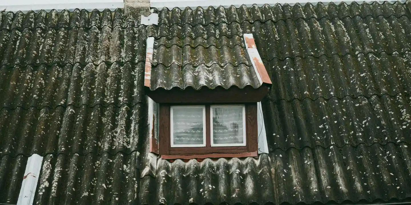 Moss-covered roof with a small dormer window in the center.