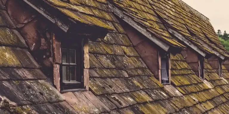 Weathered wooden roof with mossy shingles and small dormer windows, indicating wear and potential rafters damage.