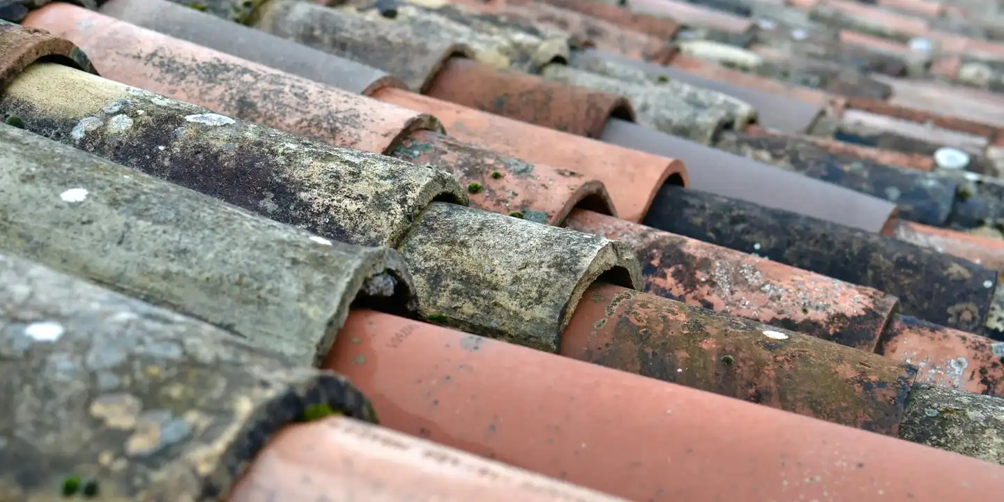 Close-up of moss-covered, weathered roof tiles.