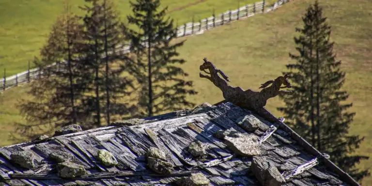 A weathered asphalt shingle roof viewed from above with several rocks scattered on the surface; a row of trees and a white fence are visible in the background.