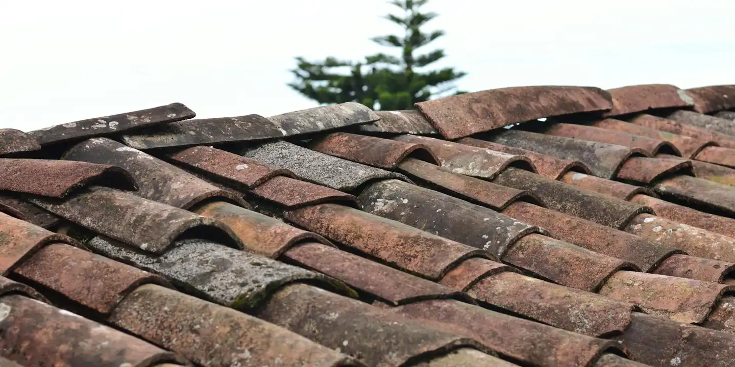Close-up of reddish-brown curved clay roof tiles on a pitched roof with a tree visible in the background.