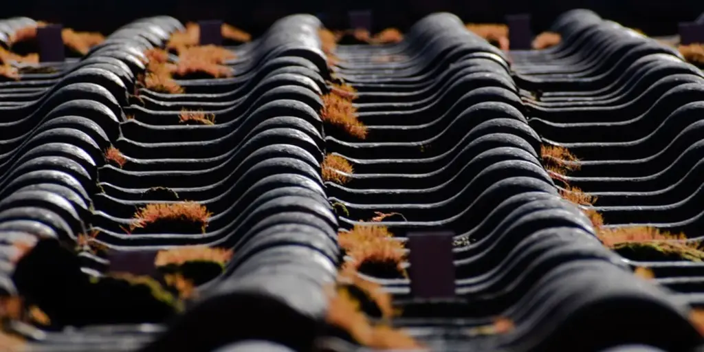 What Are the Correct Installation Methods for Asphalt Shingle, Metal, and Tile Roofs?