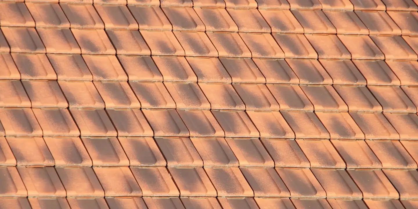 Close-up of orange-tinted roof tiles bathed in sunset light.
