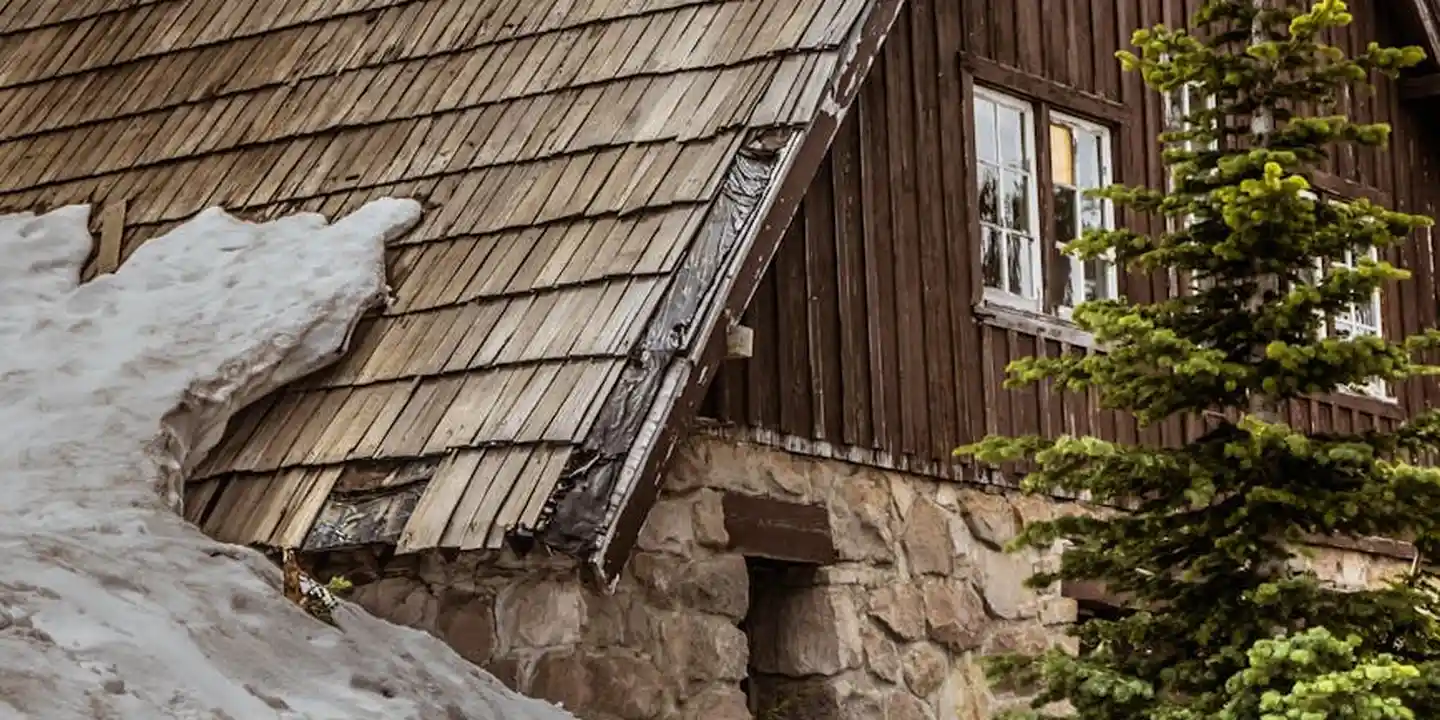 Close-up of a rustic cabin roof covered in wooden shingles beneath a small window, with snow on the left and evergreen trees nearby.