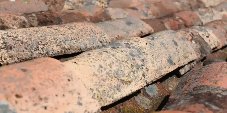 Close-up of weathered curved terracotta roof tiles with dirt and moss.