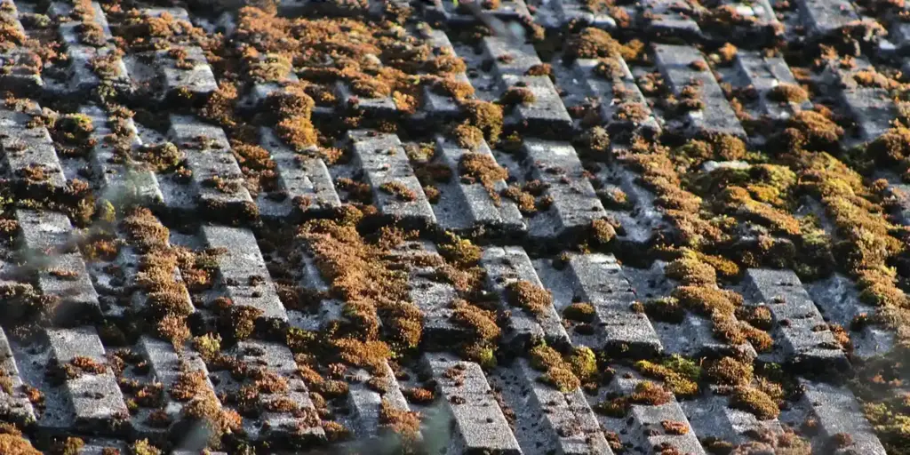 How Much Roofing Material and Insulation Does Your Home Roof Really Need?