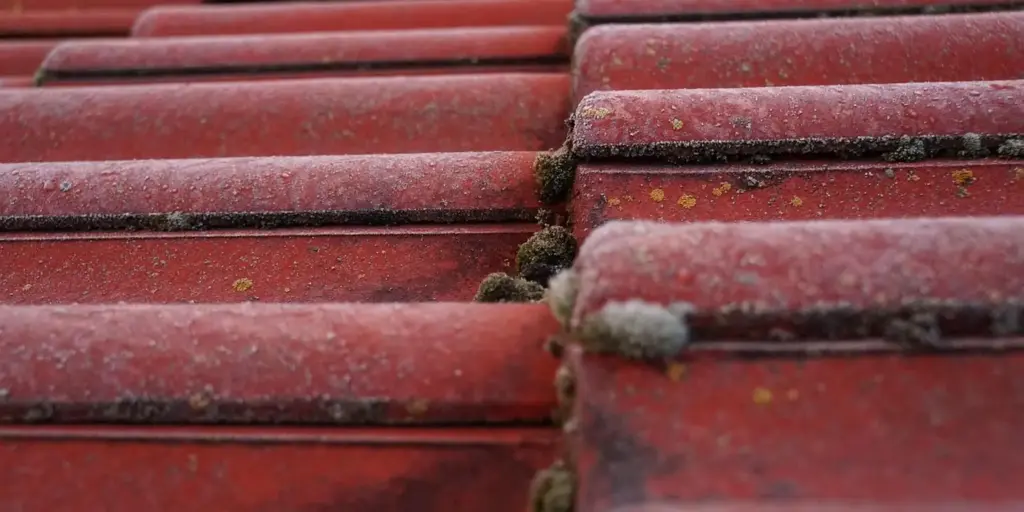 What’s the Difference Between Roofing and Siding Nail Guns? Your Practical Guide to Uses and Choice