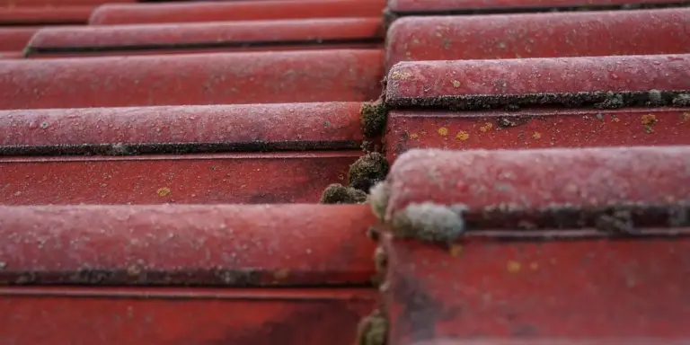 Close-up view of red roof tiles with moss and weathering.