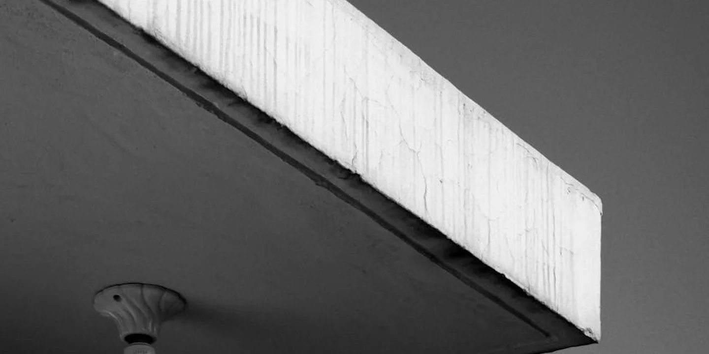 Black-and-white close-up of a residential roof overhang showing the fascia and soffit