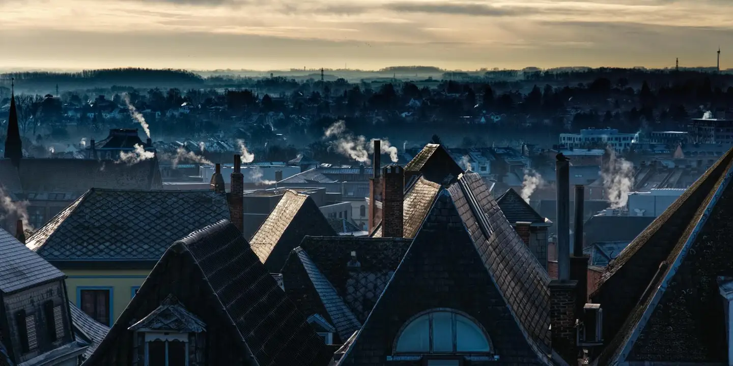 Residential rooftops with varied pitched shingles and chimneys in a dense neighborhood at dusk, highlighting different rooflines and colors.
