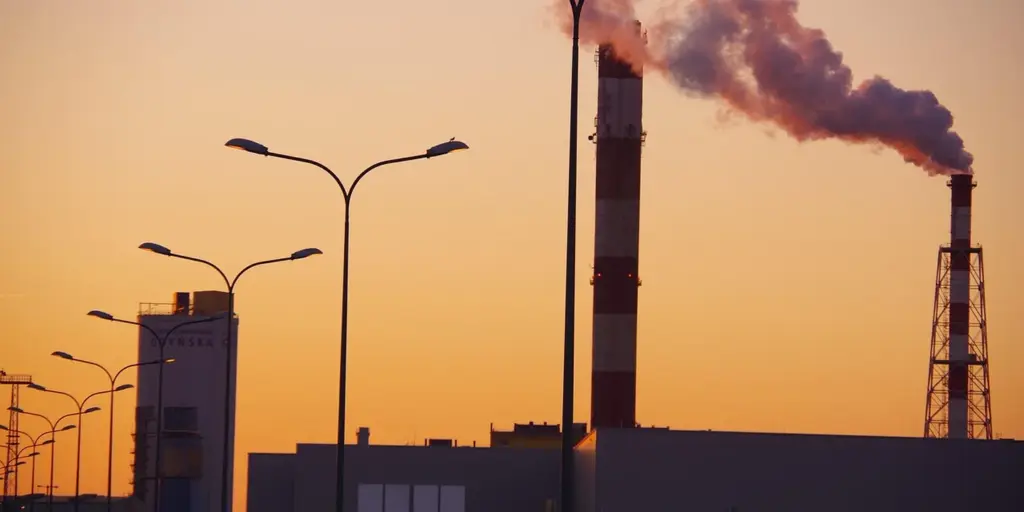 Why Does Your Chimney Stink in Summer? Real Causes and Permanent Fixes