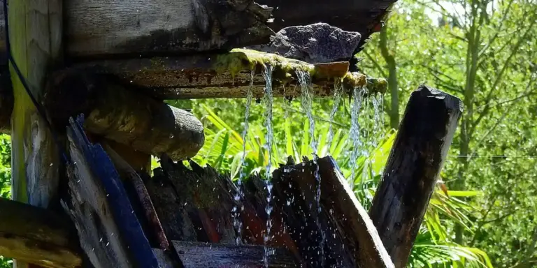 Weathered wooden gutter dripping water, with green coastal vegetation in the background.