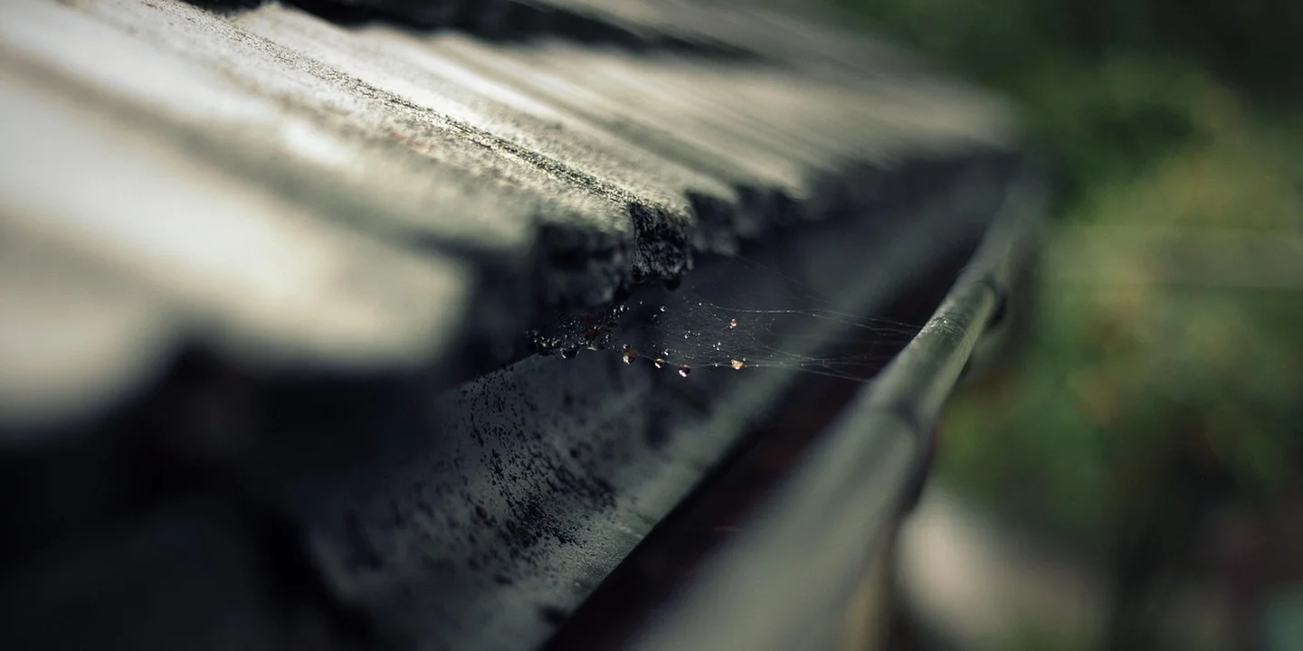 Close-up of a metal gutter edge along a sloped roof, showing texture and weathered metal