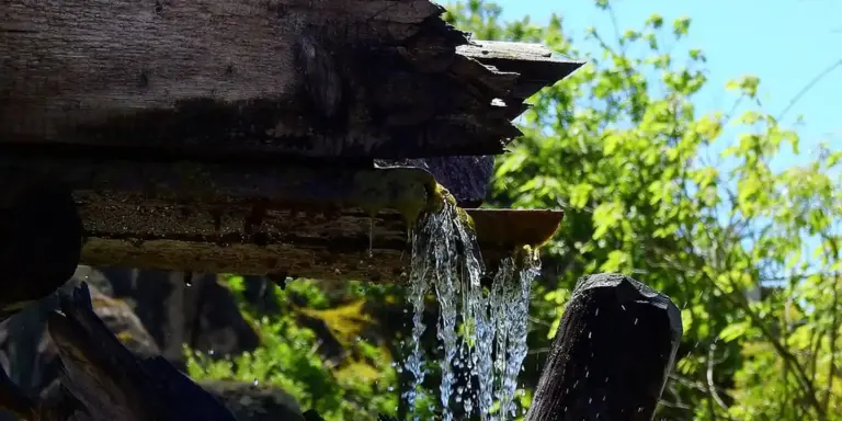 Close-up of a gutter leaking water from the roof edge, showing a damaged section with dark fascia and greenery in the background.