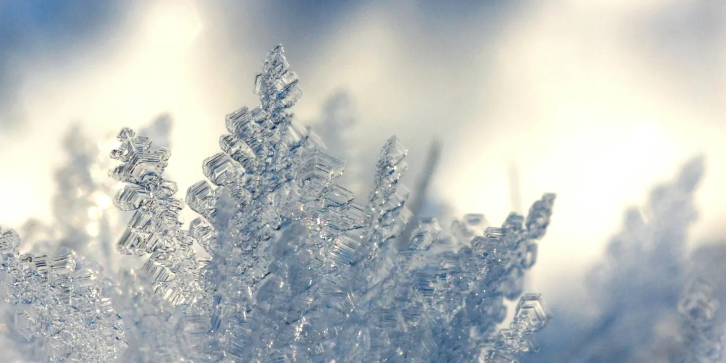 Close-up macro photograph of intricate ice crystals and frost.