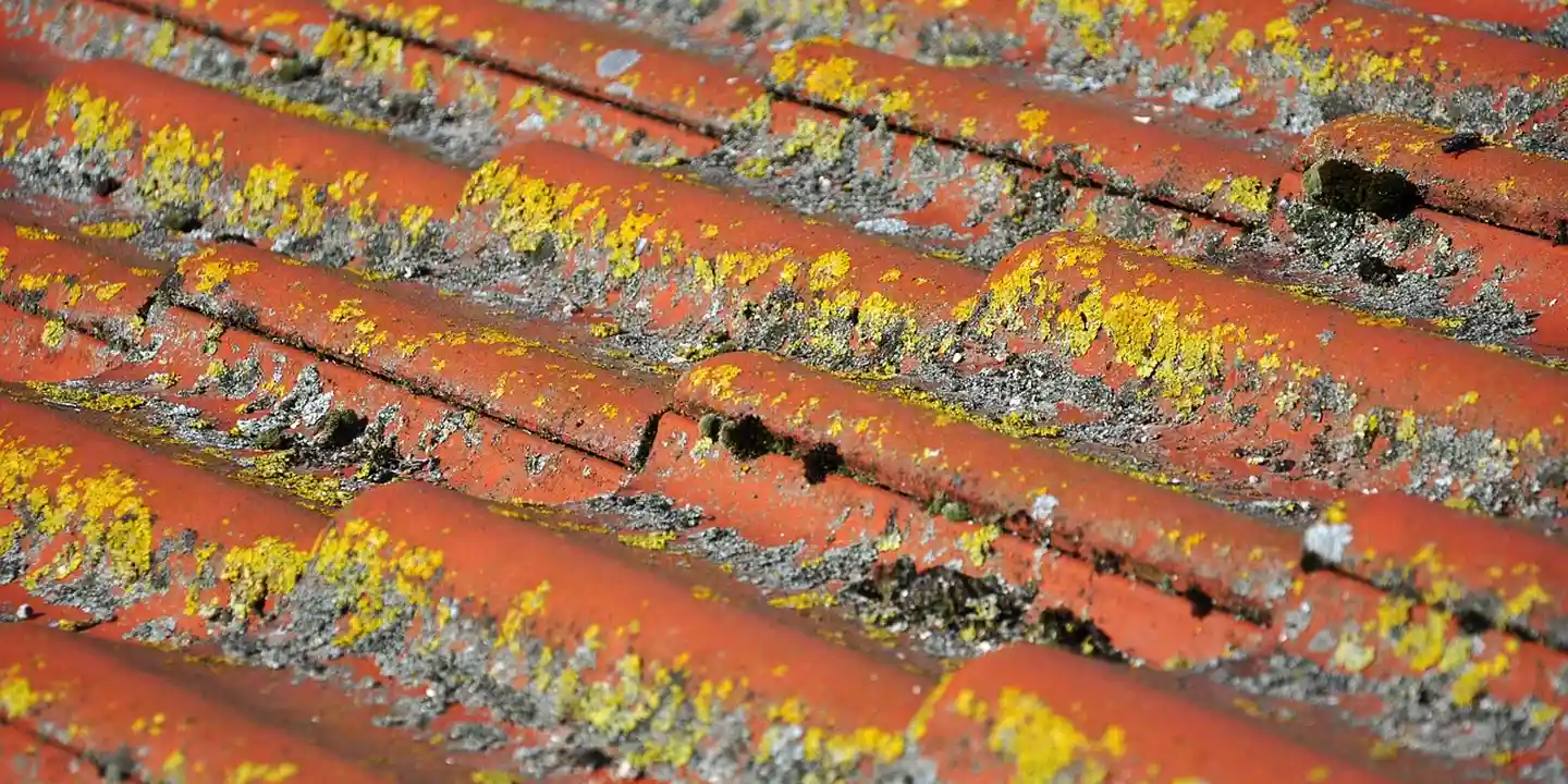 Close-up of orange roof tiles with yellow moss and weathering, showing cracks and wear