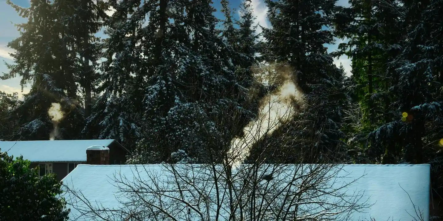 Snow-covered roof with evergreen trees in the background.
