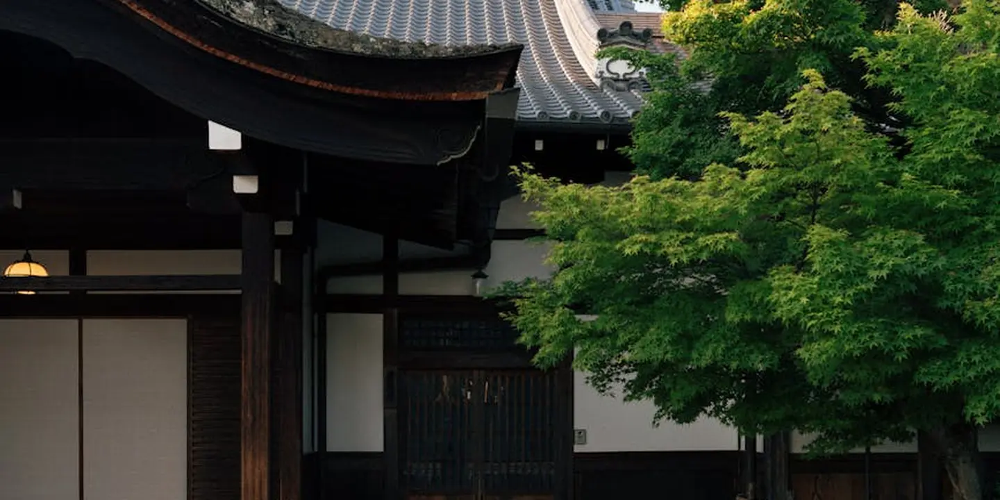 Traditional building with a lush green tree nearby, highlighting shade, debris, and moisture considerations for a roof under trees