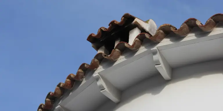 Close-up of a curved roof edge with terracotta tiles and white fascia, illustrating the roof eave.