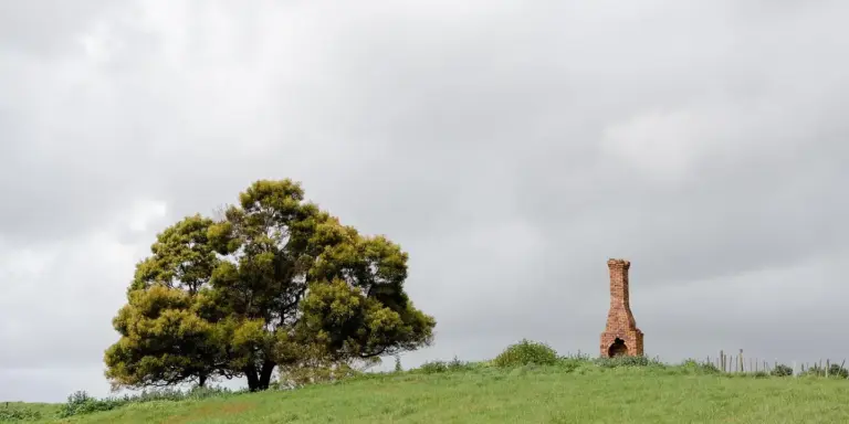 A lone tree on a grassy hill with a small brick chimney ruin in the distance under a cloudy sky.